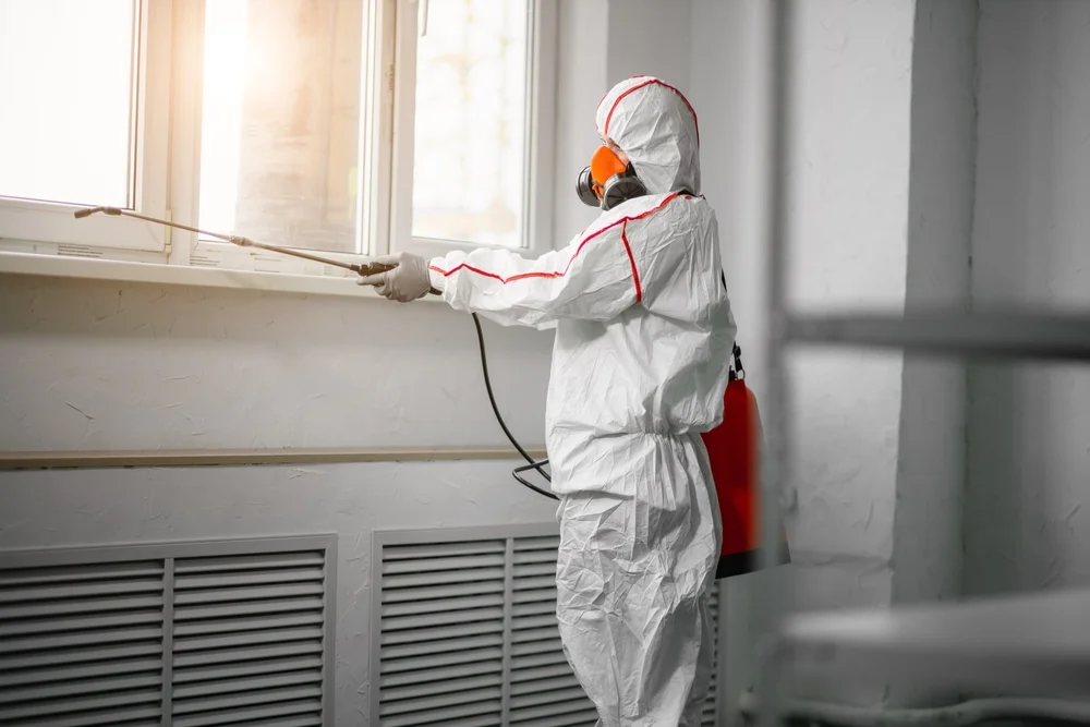 Professional mold remediation services in Dawsonville, GA